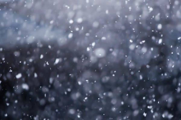 東京の大雪