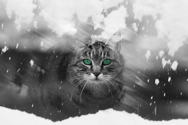 年の瀬のご挨拶