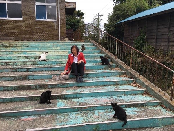 ネコの島田代島 日本のノラ猫その1