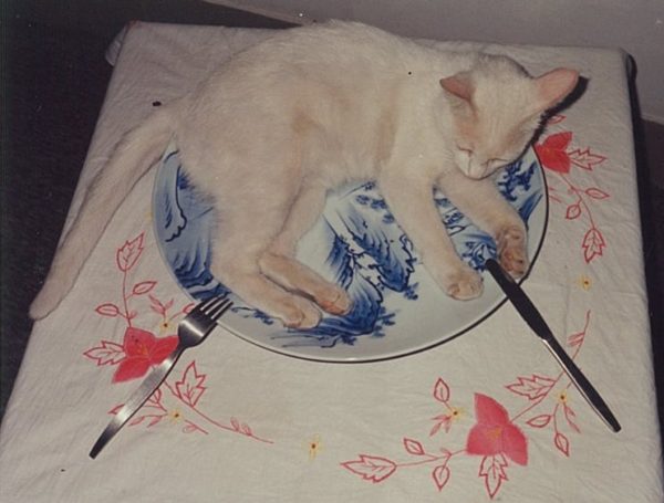 何の日