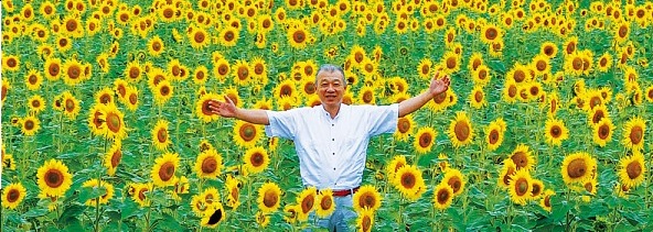 ひまわり
